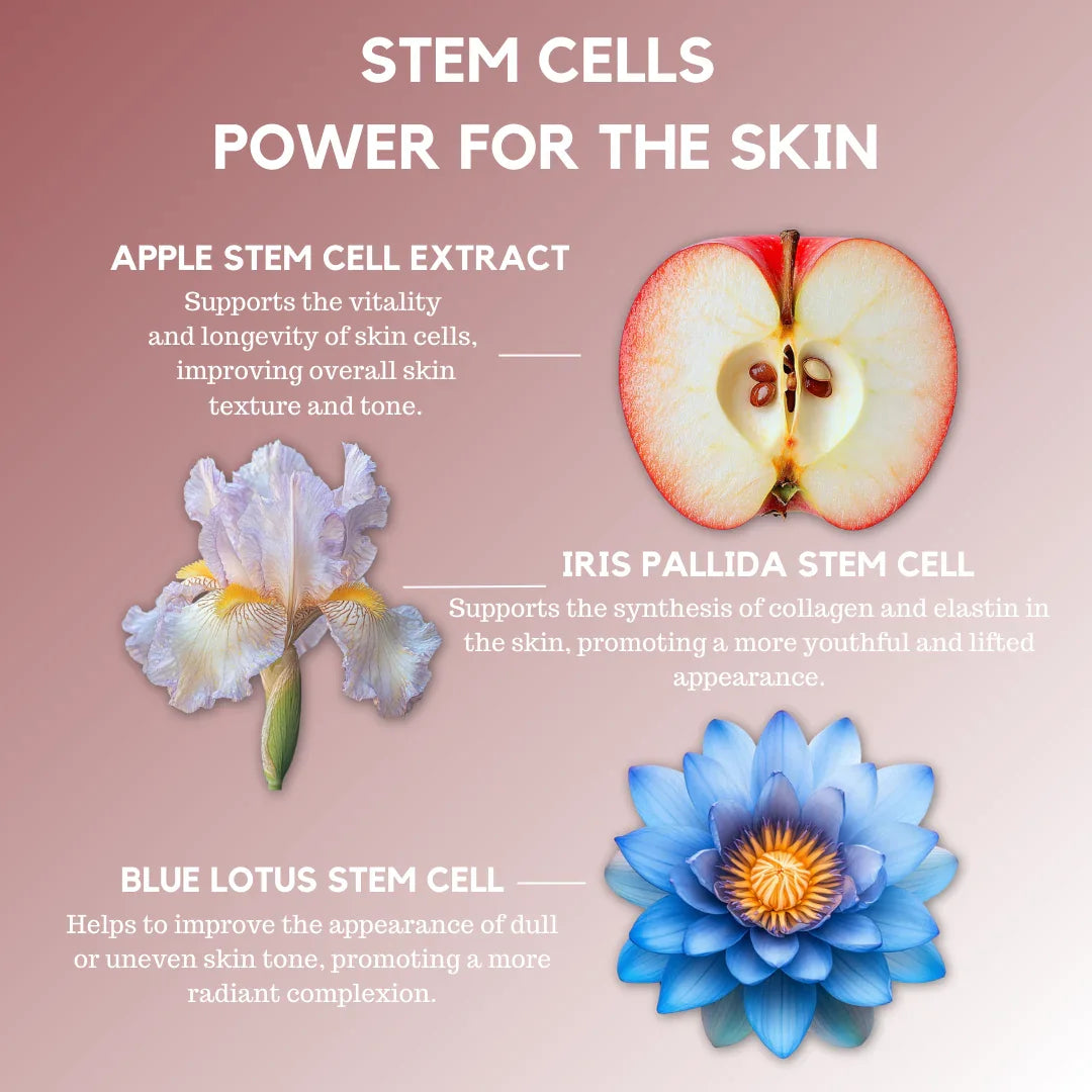 Collagen Lift Cream