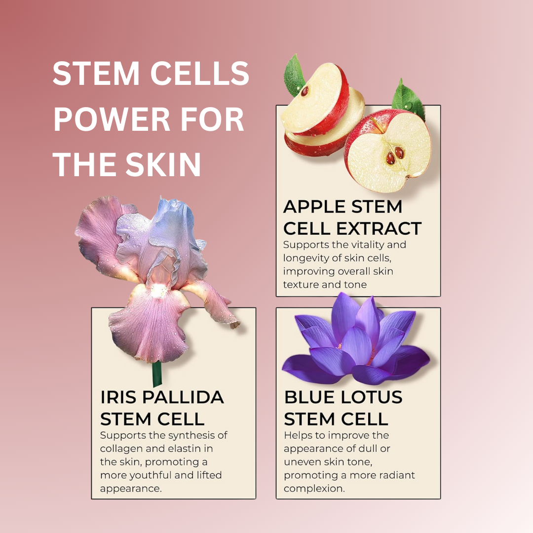 Collagen Botanical Stem Cells Cream