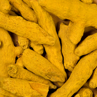 Turmeric Extract